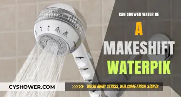 Shower Water as a Waterpik Alternative: Effective or Just a Myth?