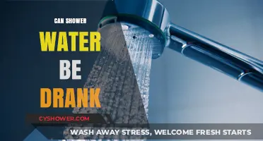 Is Shower Water Safe to Drink? Risks and Considerations Explained
