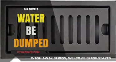 Can You Dump Shower Water? Eco-Friendly Disposal Tips Revealed