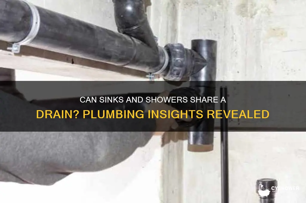 can sink and shower share drain