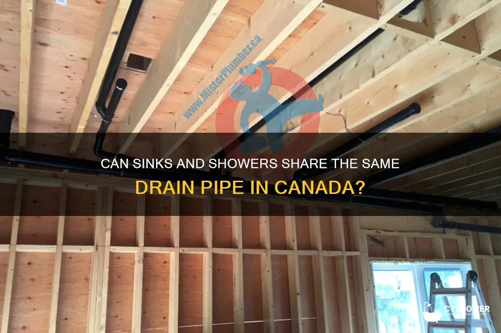 can sink and shower share same drain pipe canada