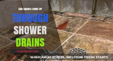 Can Snakes Crawl Up Shower Drains? Debunking the Myth