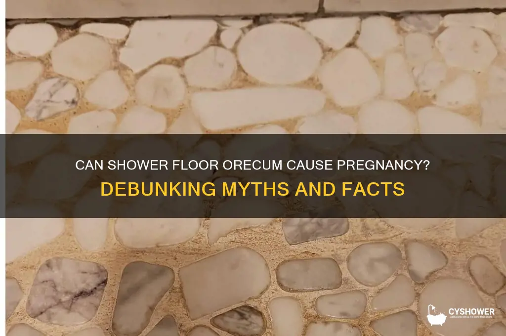can someone get pregnant from orecum on shower floor