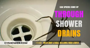 Can Spiders Crawl Up Shower Drains? Debunking the Myth
