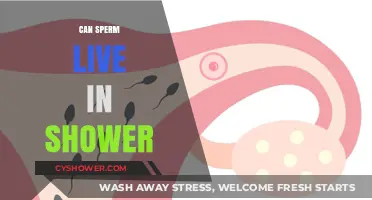 Can Sperm Survive in Shower Water? Debunking Myths and Facts