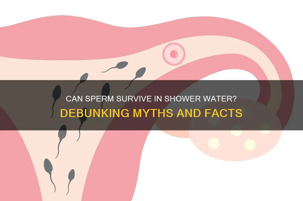 can sperm live in shower