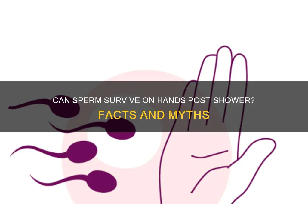 can sperm live on hands after a shower