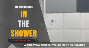 Can Spiders Drown in the Shower? Unraveling the Myth