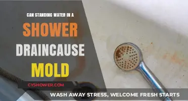 Standing Water in Shower Drains: A Hidden Mold Risk?