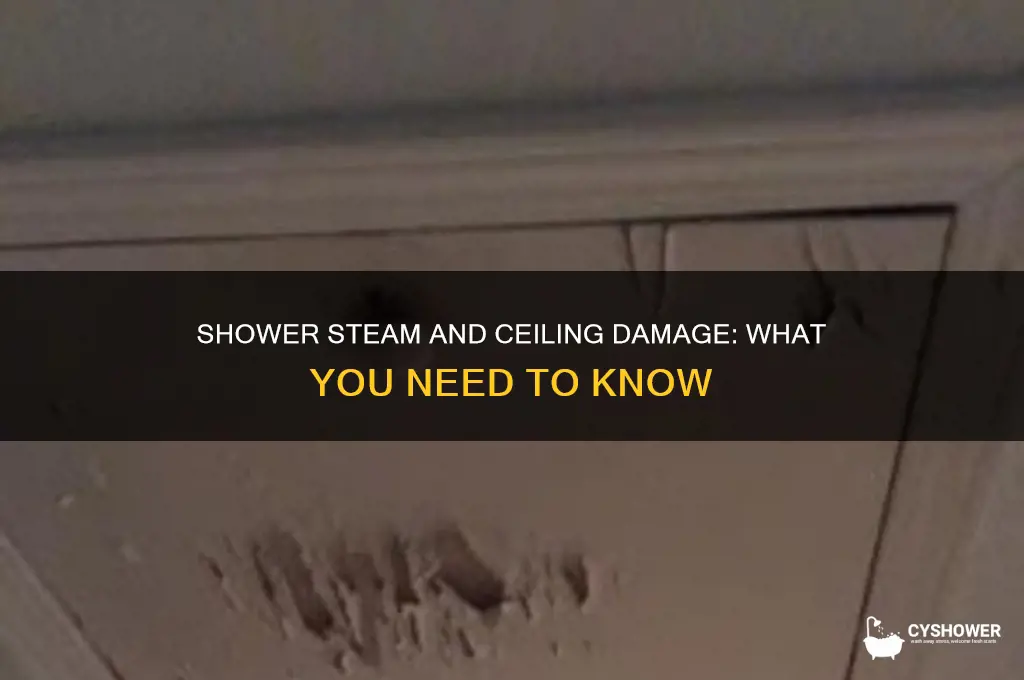 can steam from shower damage ceiling