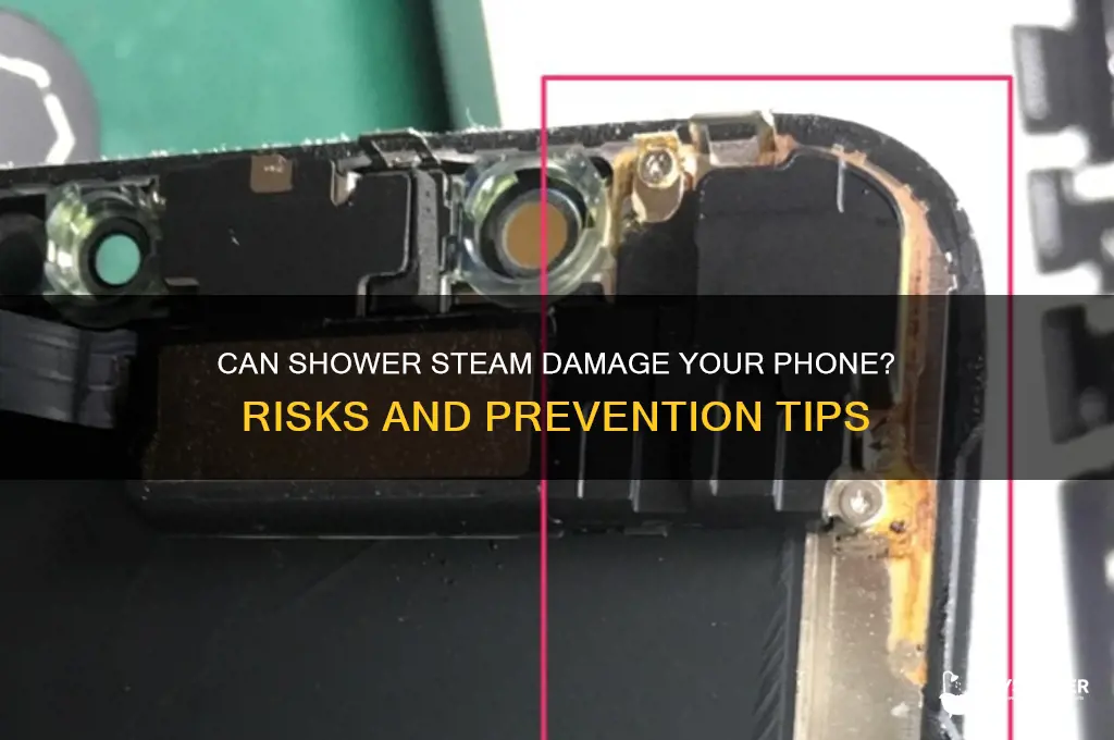 can steam from shower damage phone