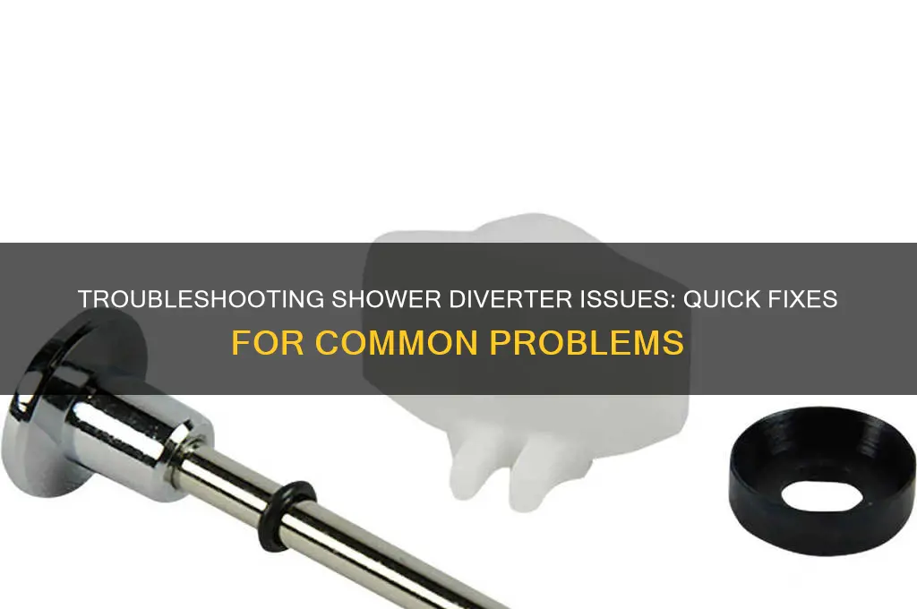 can t find shower diverter
