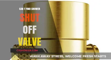 Where’s the Shower Shut-Off Valve? Quick Tips to Locate It