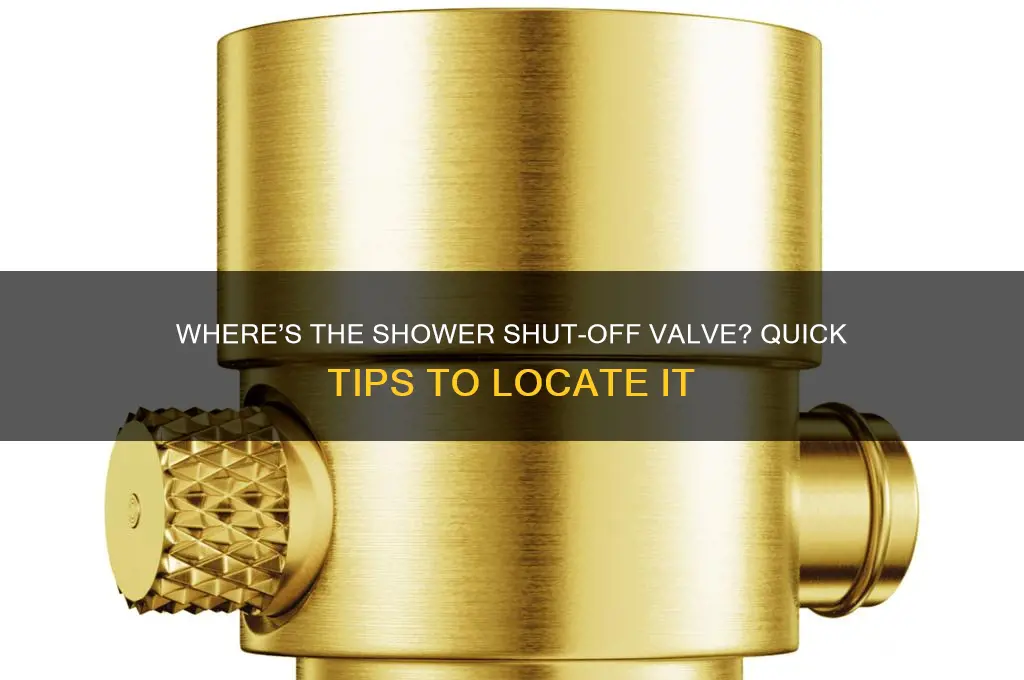 can t find shower shut off valve