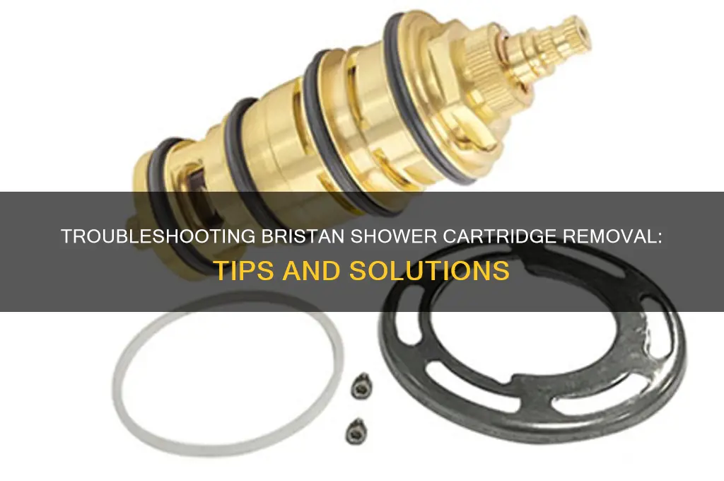 can t remove bristan shower cartridge