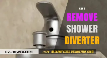 Stubborn Shower Diverter? Troubleshooting Tips for a Stuck Valve
