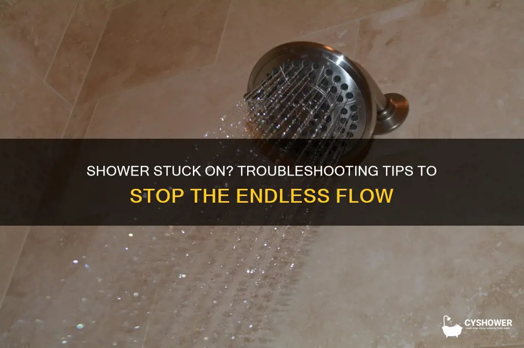 can t turn off shower