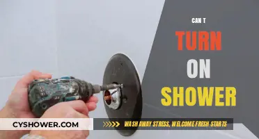 Troubleshooting Tips: Why Your Shower Won't Turn On and How to Fix It