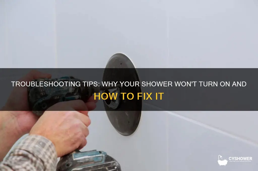 can t turn on shower