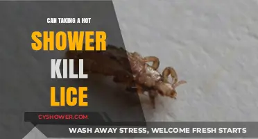 Hot Showers and Lice: Can Heat Really Kill These Pests?