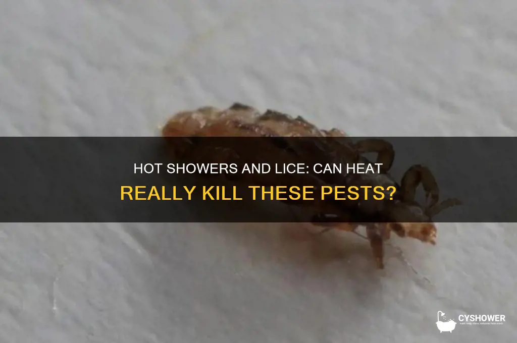 can taking a hot shower kill lice