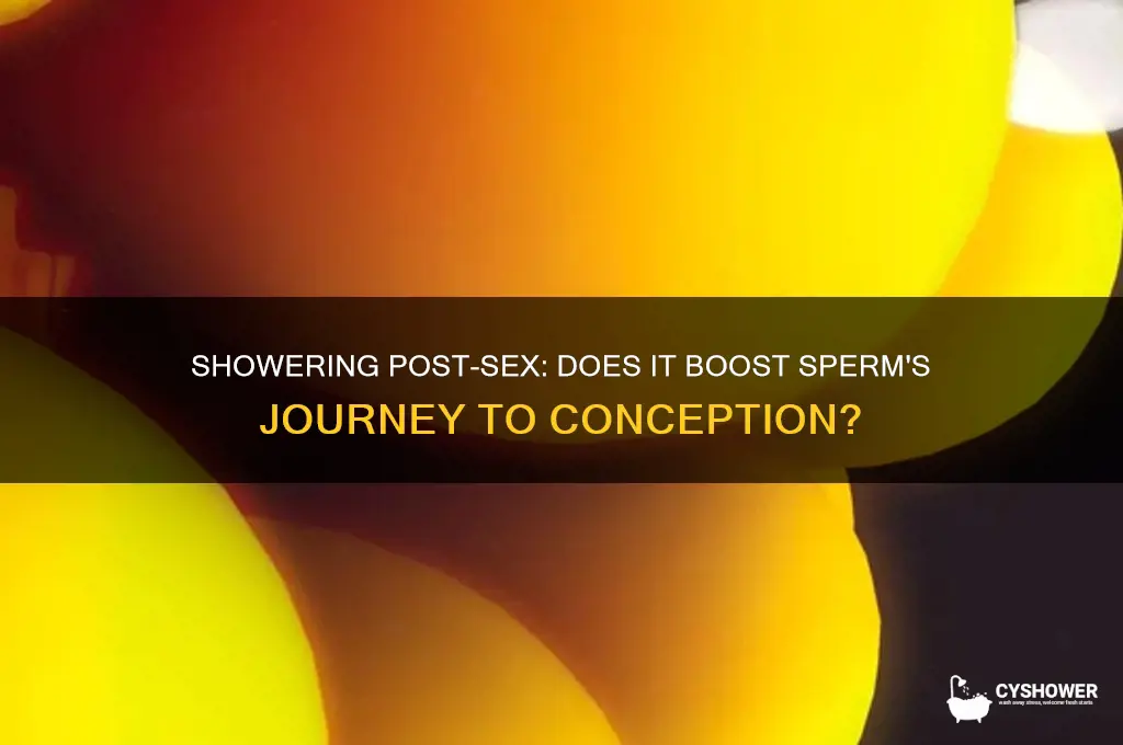 can taking a shower after sex help sperm along