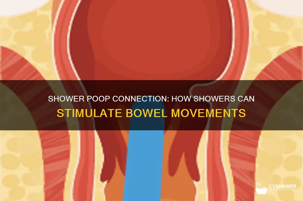 can taking a shower help you poop