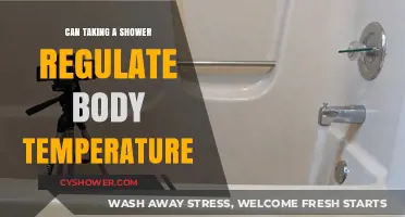Showering to Regulate Body Temperature: Myth or Effective Strategy?