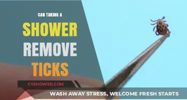 Showering to Remove Ticks: Effective Method or Myth?