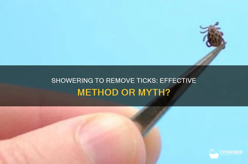can taking a shower remove ticks