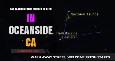 Taurid Meteor Shower Visibility in Oceanside, CA: What to Expect