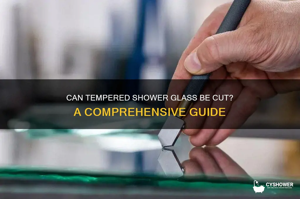 can tempred shower glass be cut