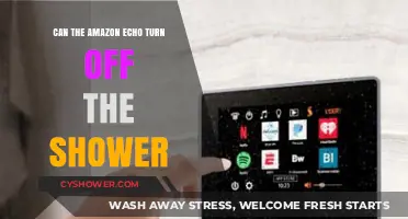 Can Your Amazon Echo Control Your Shower? Smart Home Limits Explained