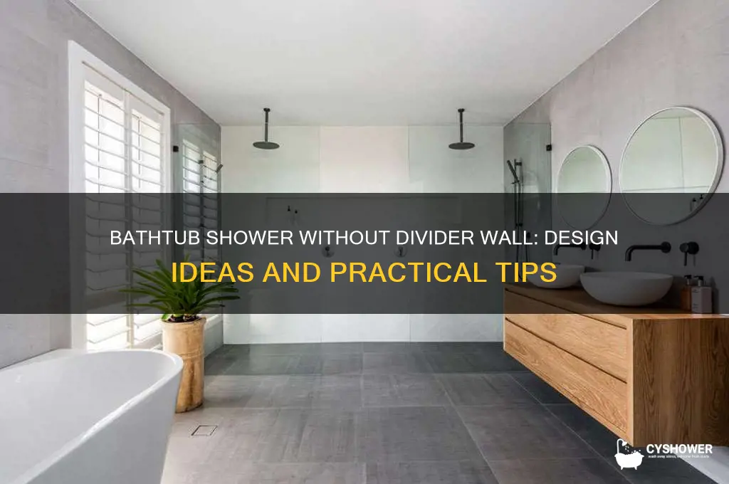 can the bathtub shower no divider wall
