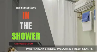 Can the Dead See Us in the Shower? Debunking Myths