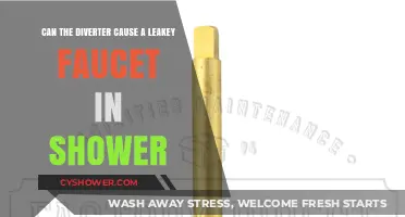 Can a Faulty Diverter Valve Cause Your Shower Faucet to Leak?