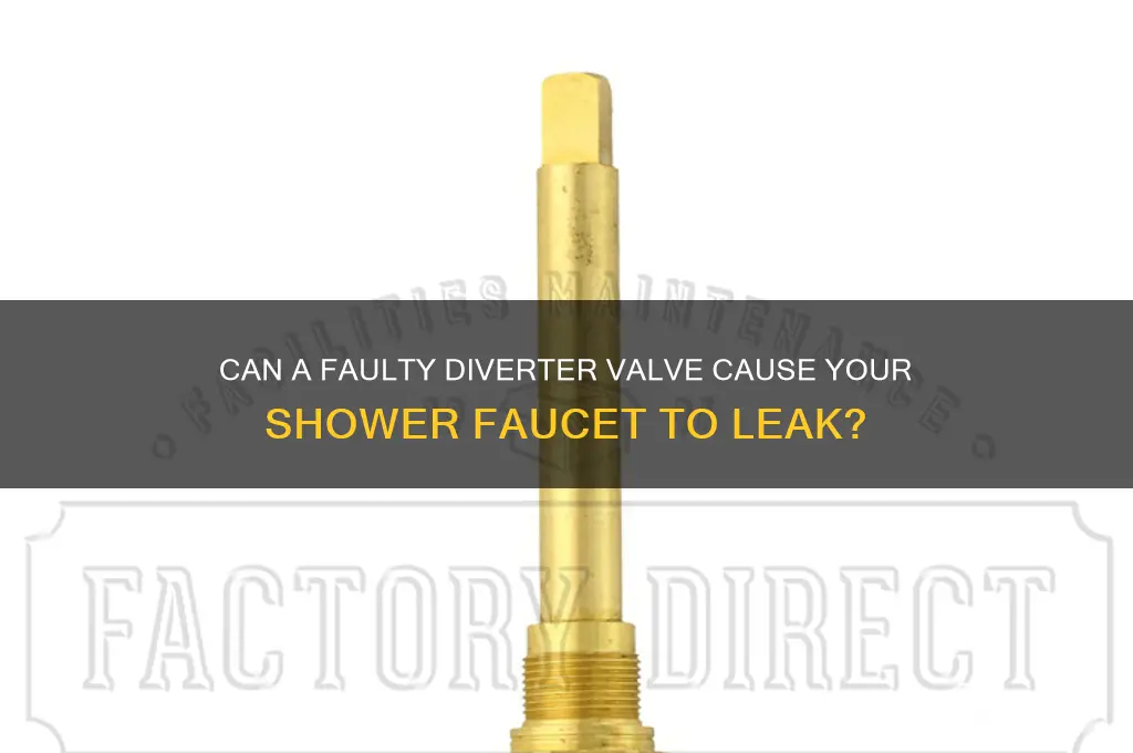 can the diverter cause a leakey faucet in shower