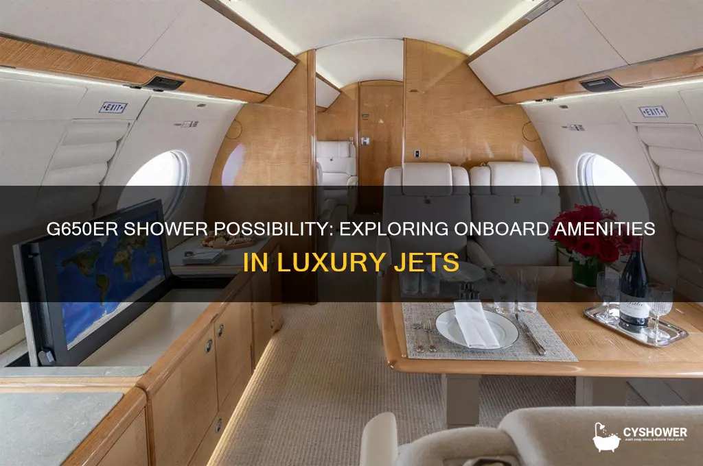 can the g650er have a shower on board