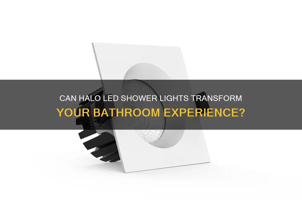 can the halo led light in a shower