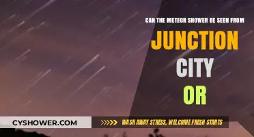 Meteor Shower Visibility in Junction City: What to Expect