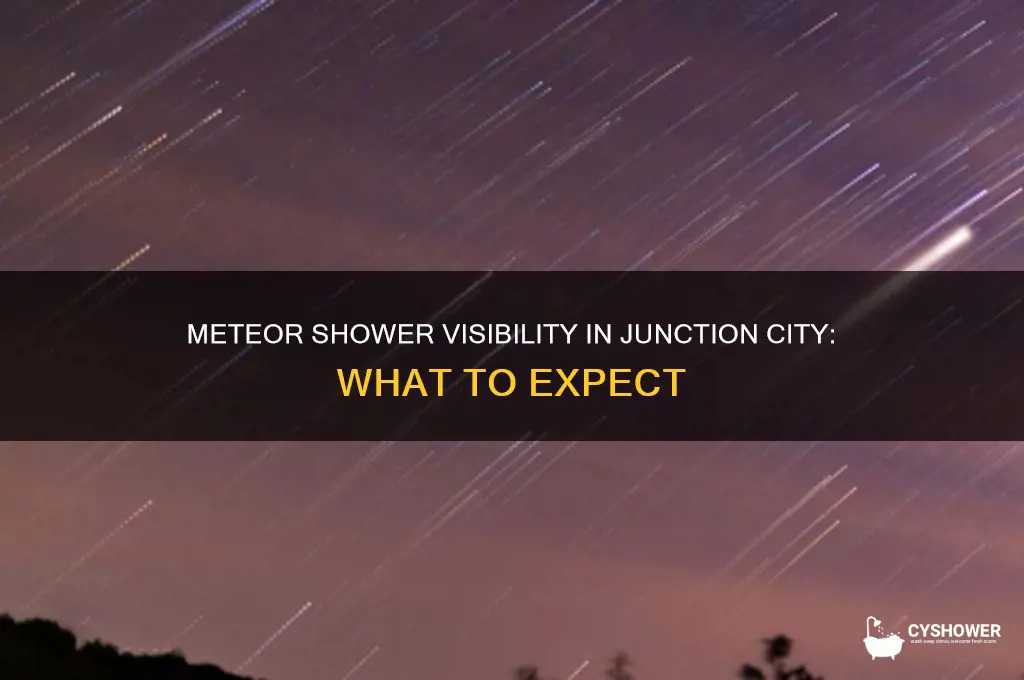 can the meteor shower be seen from junction city or