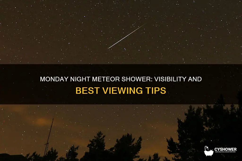 can the meteor shower be seen monday night