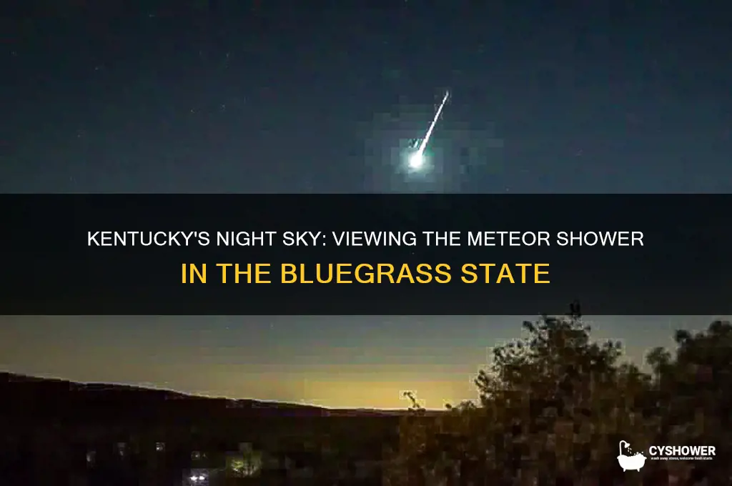 can the meteor shower been see from kentucky