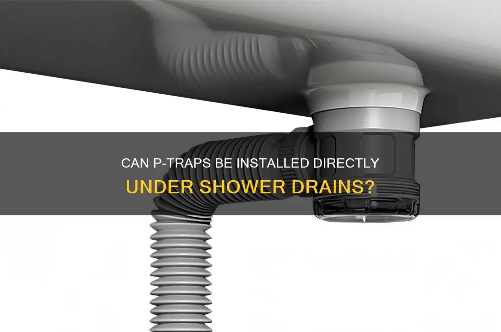can the p trap be directly under the shower drain