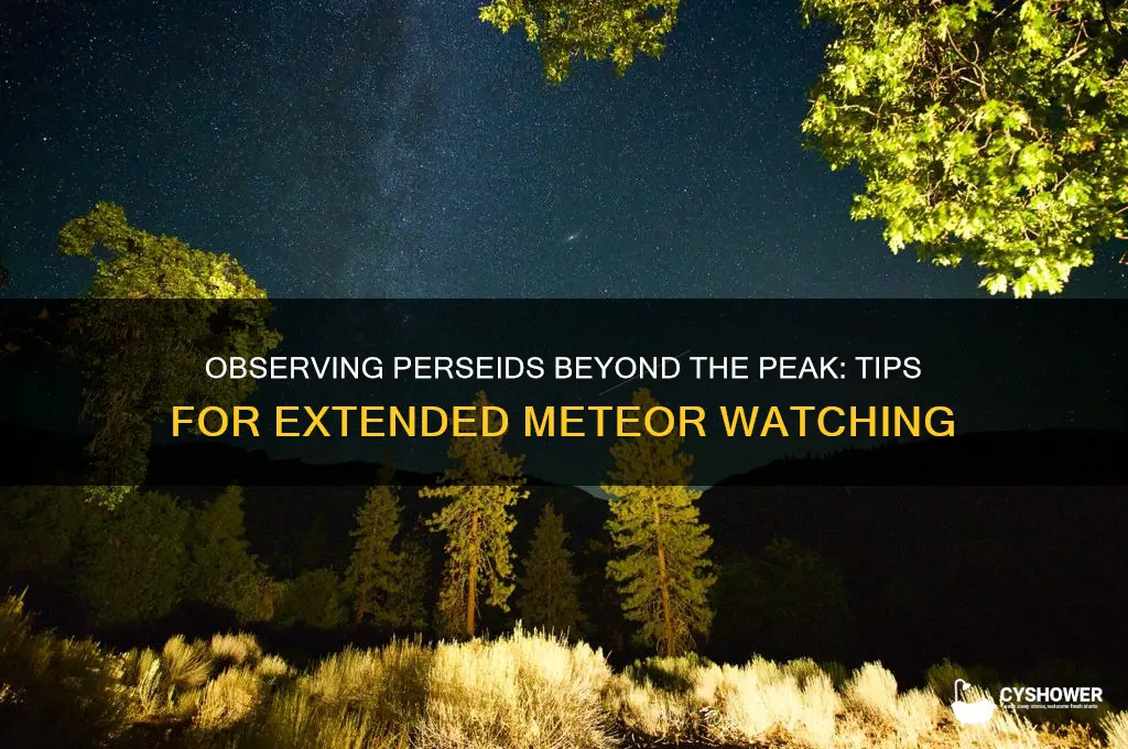 can the perseids be observed outside of the shower