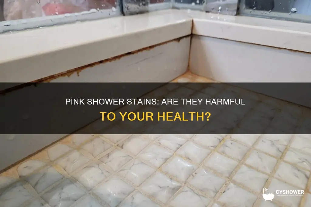 can the pink stains in the shower make me sick