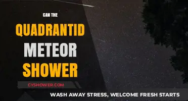 Quadrantid Meteor Shower: A Celestial Spectacle Worth Staying Up For