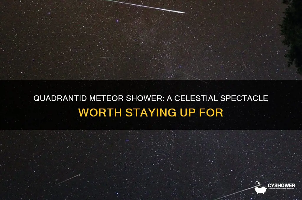 can the quadrantid meteor shower