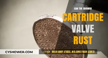 Can Shower Cartridge Valves Rust? Causes, Prevention, and Solutions