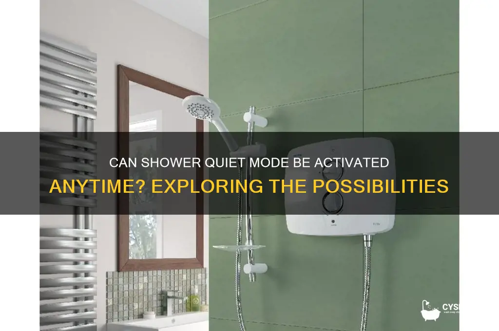 can the shower with quiet be triggered at any time